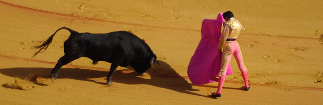 bullfight